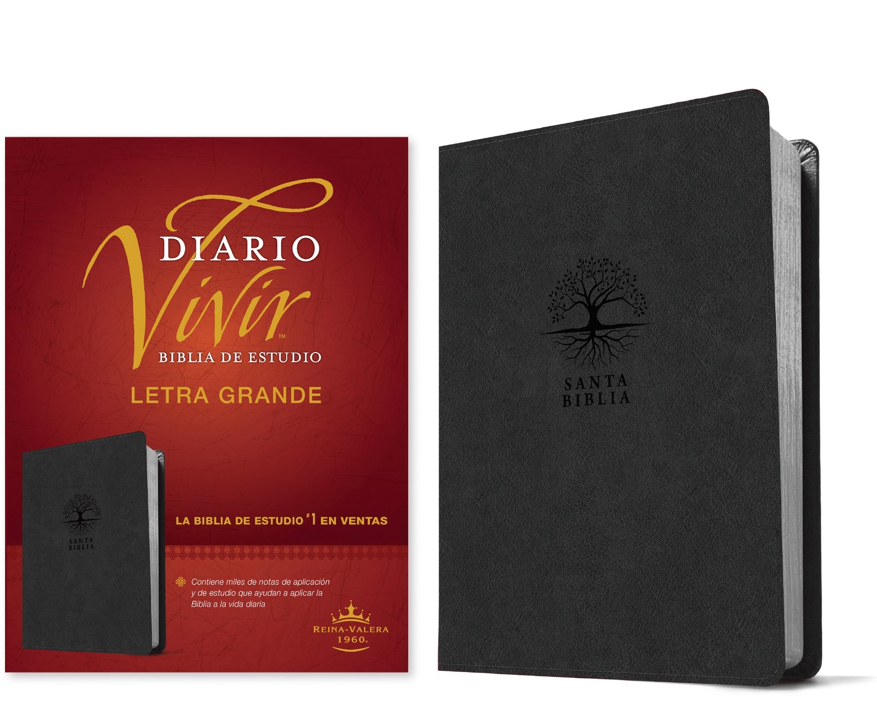 RVR60 Biblia de estudio del diario vivir letra grande Carbón (Letra Roja) (RVR60 Daily Living Study Bible Large Print Charcoal Red Letter, Spanish Edition)