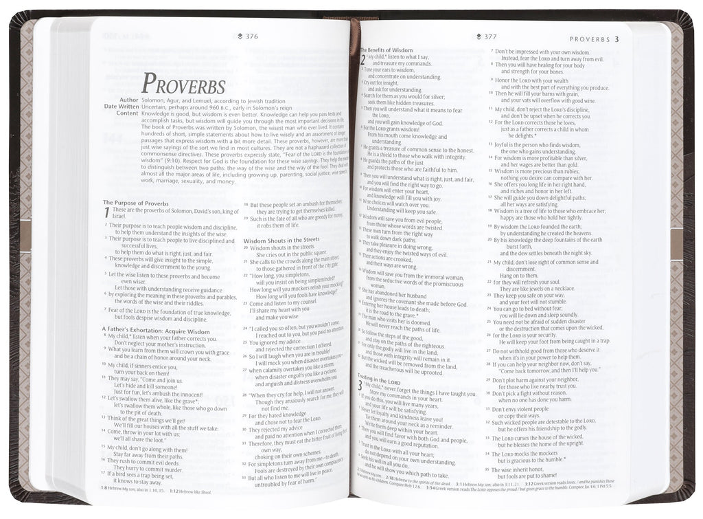 NLT Premium Gift Bible Filament Enabled, Starlight Path Brown Red Letter Edition