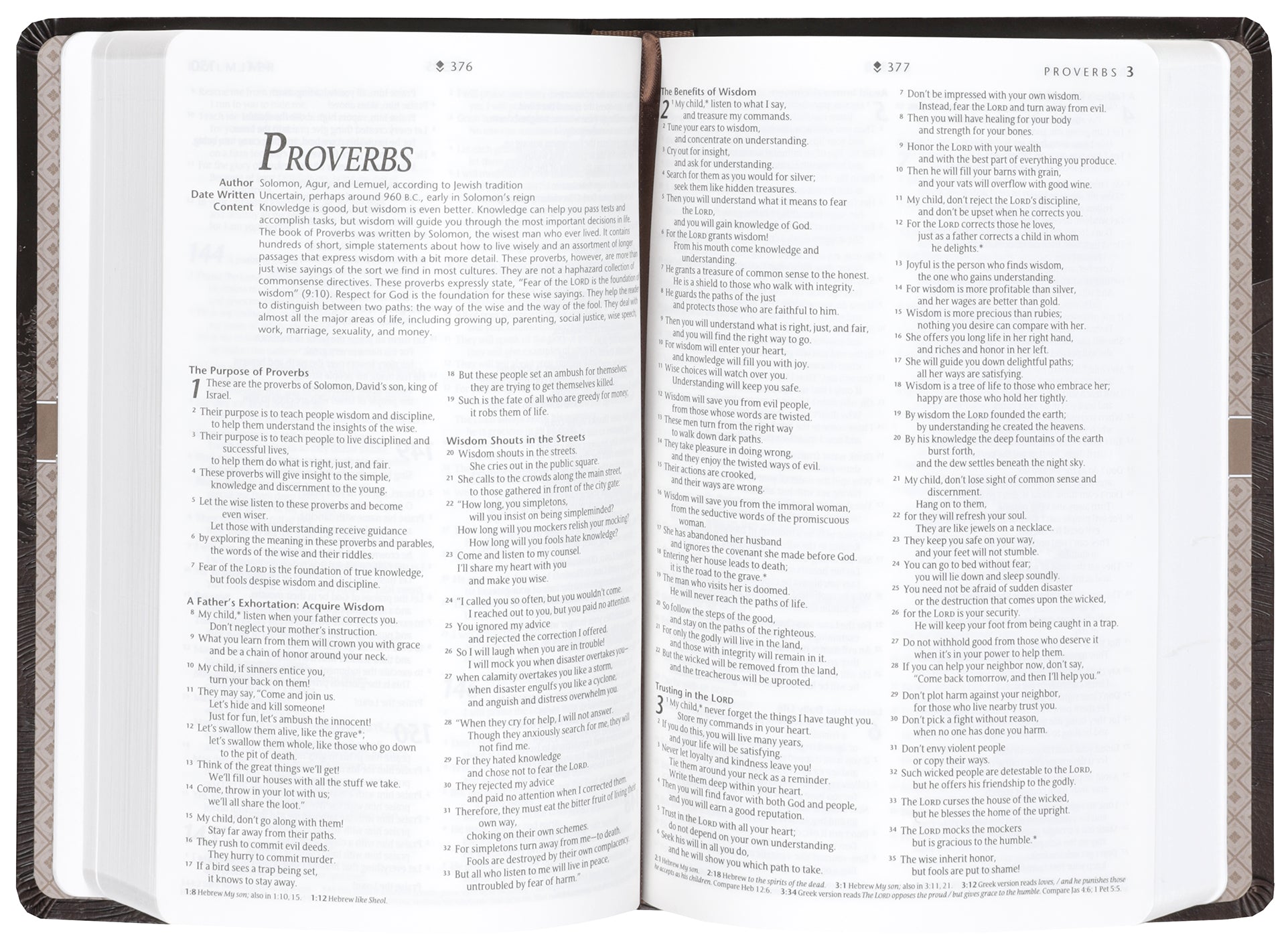 NLT Premium Gift Bible Filament Enabled, Starlight Path Brown Red Letter Edition