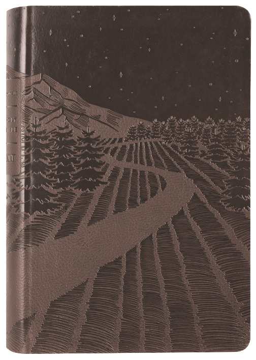 NLT Premium Gift Bible Filament Enabled, Starlight Path Brown Red Letter Edition