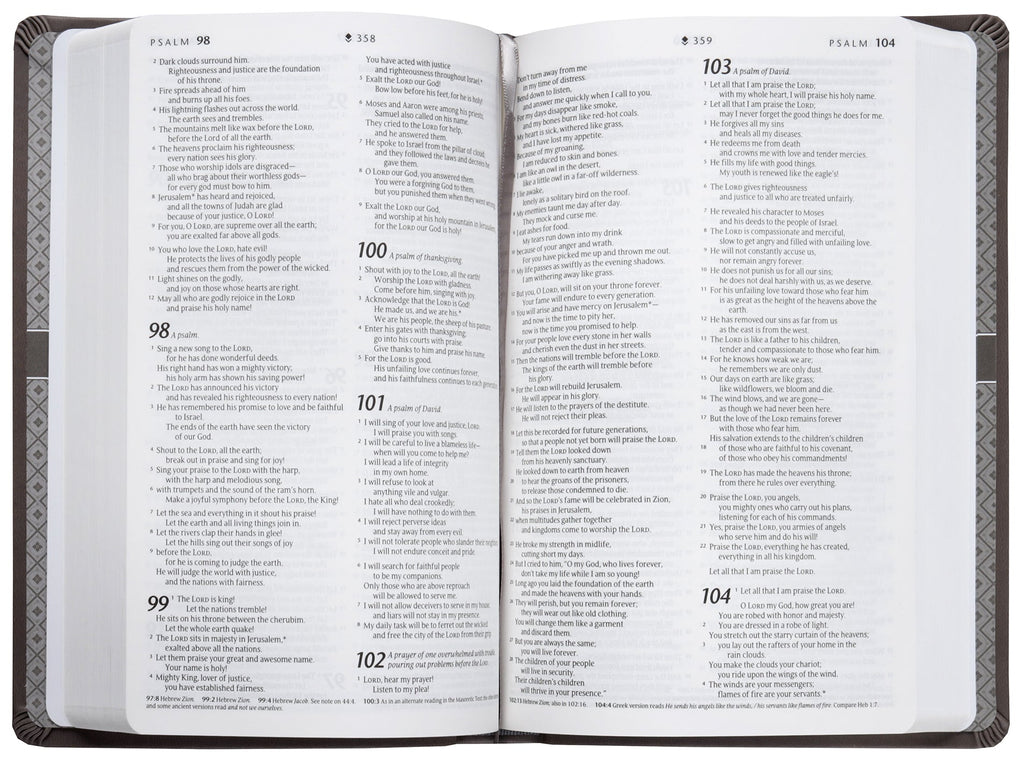 New Living Translation Premium Gift Bible in Star Cross Taupe (Red Letter Edition)
