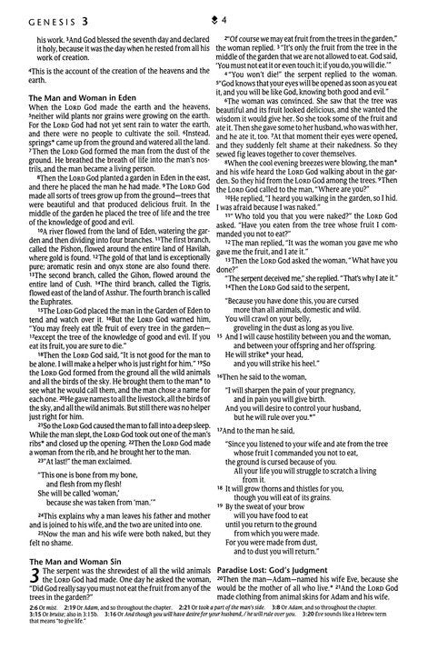 New Living Translation (NLT) Premium Gift Bible Dark Brown/Tan (Red Letter Edition) Shop Online