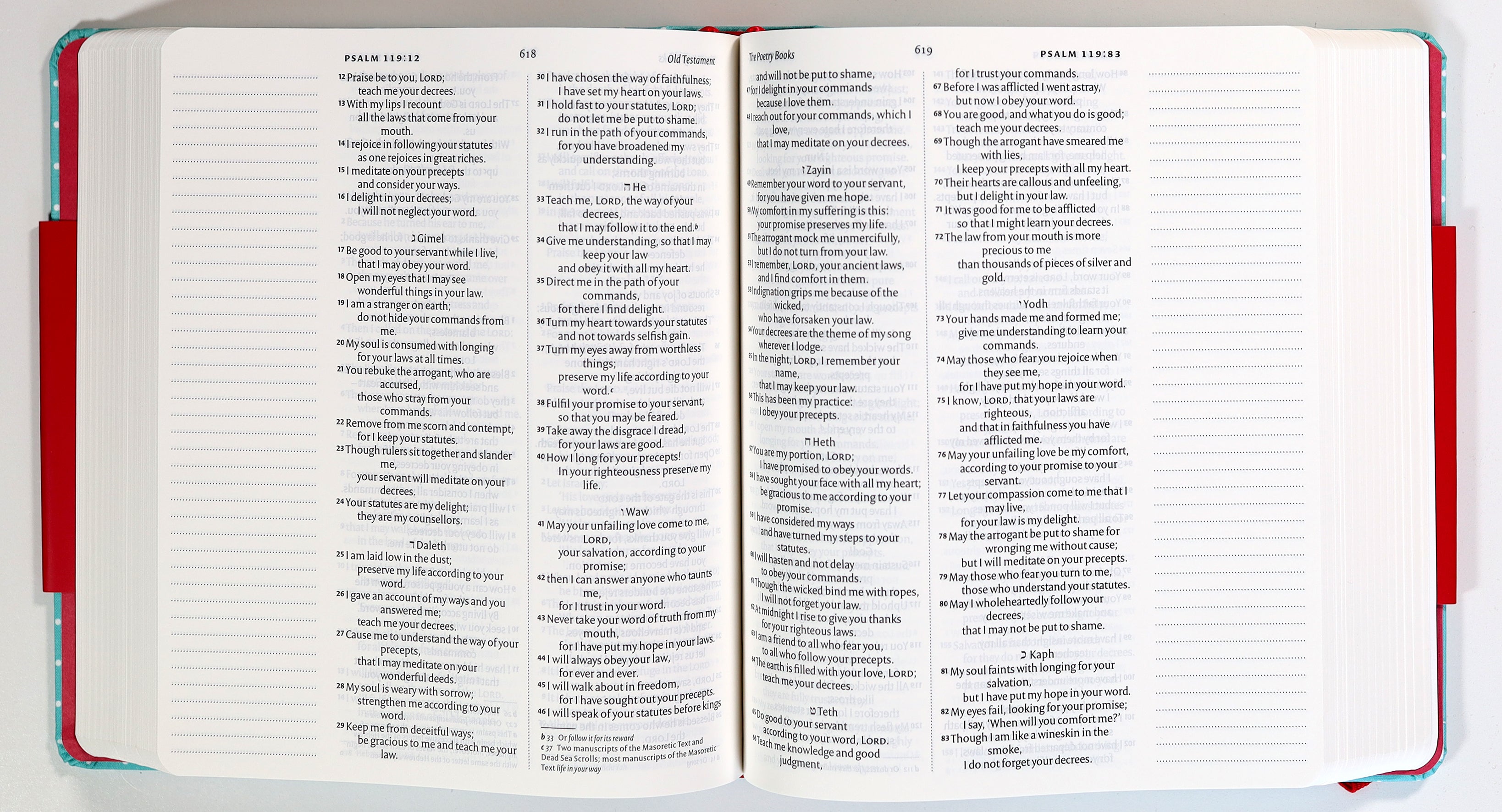 Mint polka dot NIV Journaling Bible with elastic band, open to a blank page, British edition