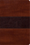 Rvr 1960 Biblia Del Pescador Letra Grande Caoba