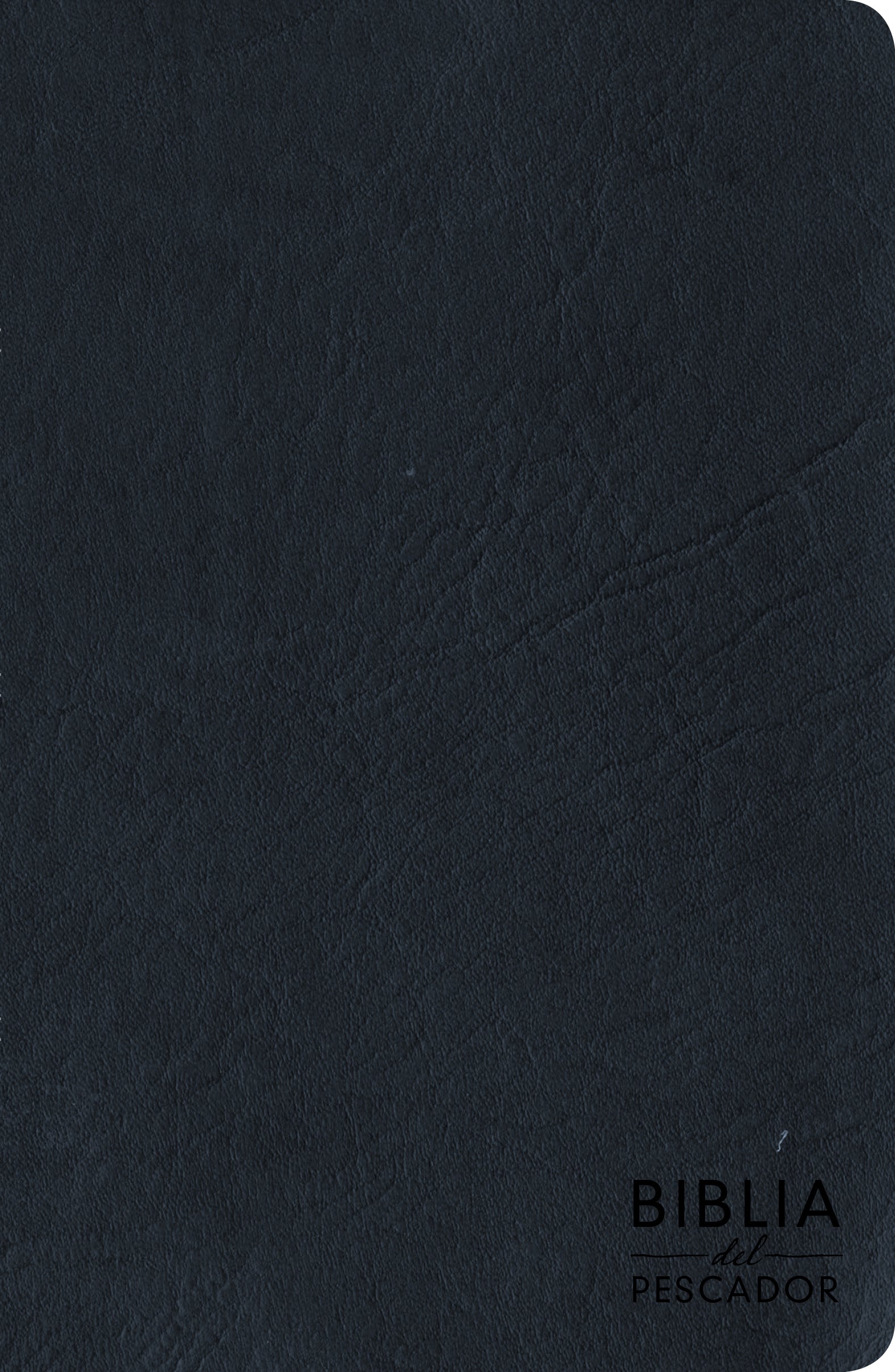 NVI Spanish Bible, RVR 1960 Edition, Large Blue Print