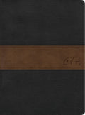 RVR 1960 Spanish Bible in multiple languages, study edition, brown leather cover