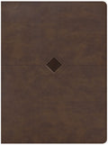 CSB Day-By-Day Chronological Bible Brown