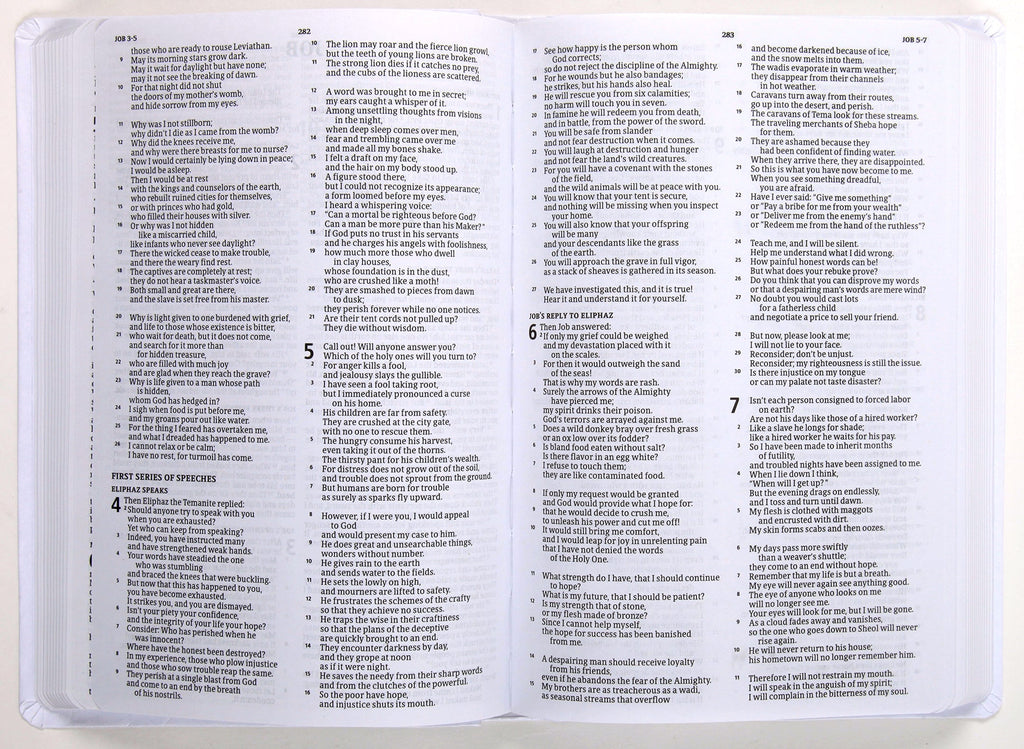 Stunning CSB Gift Bible in Rich Burgundy Leather with Red Letter Edges