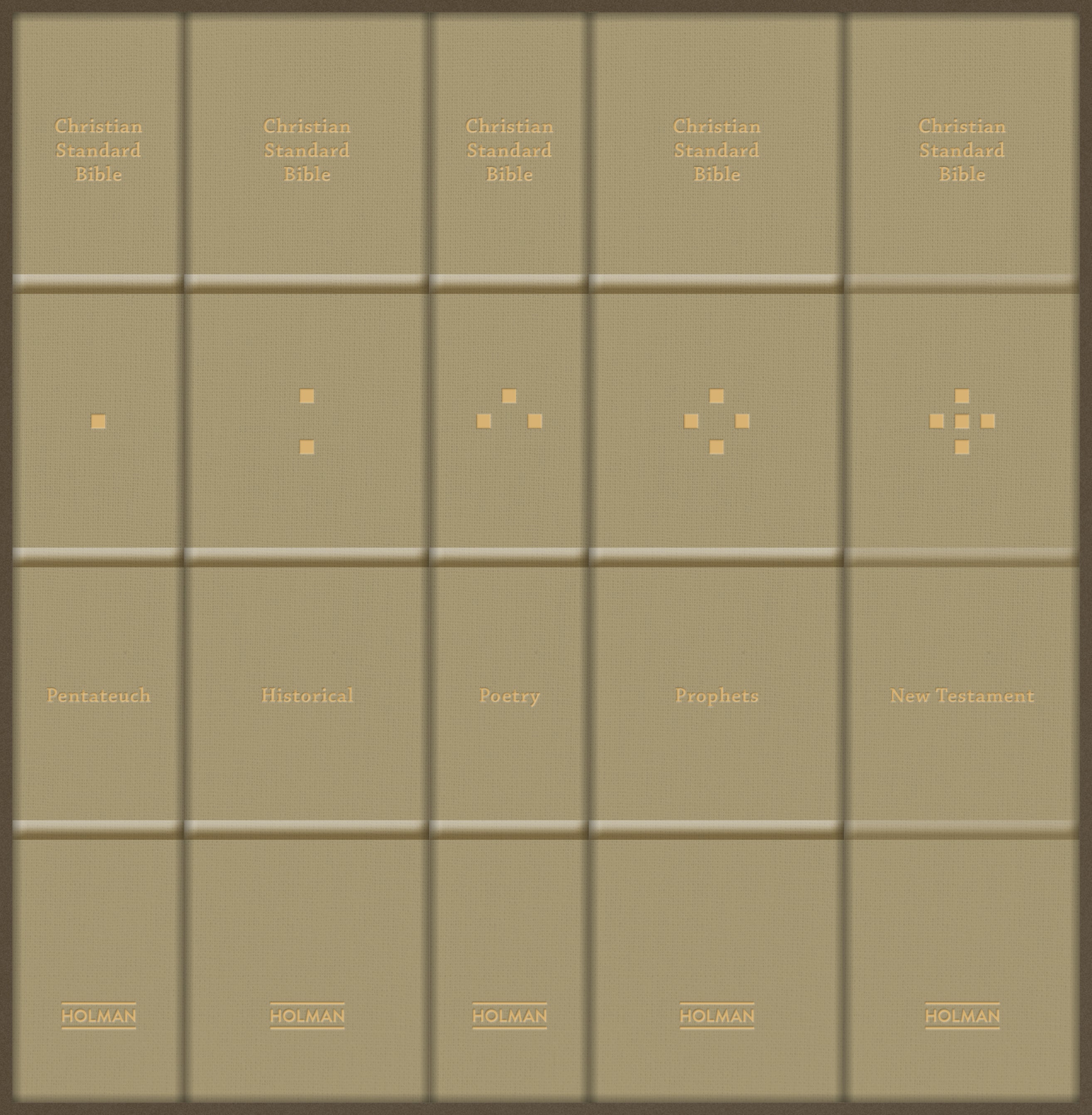 CSB Devotional Journaling Bible 5 Volume Collection leather-bound Bible edition