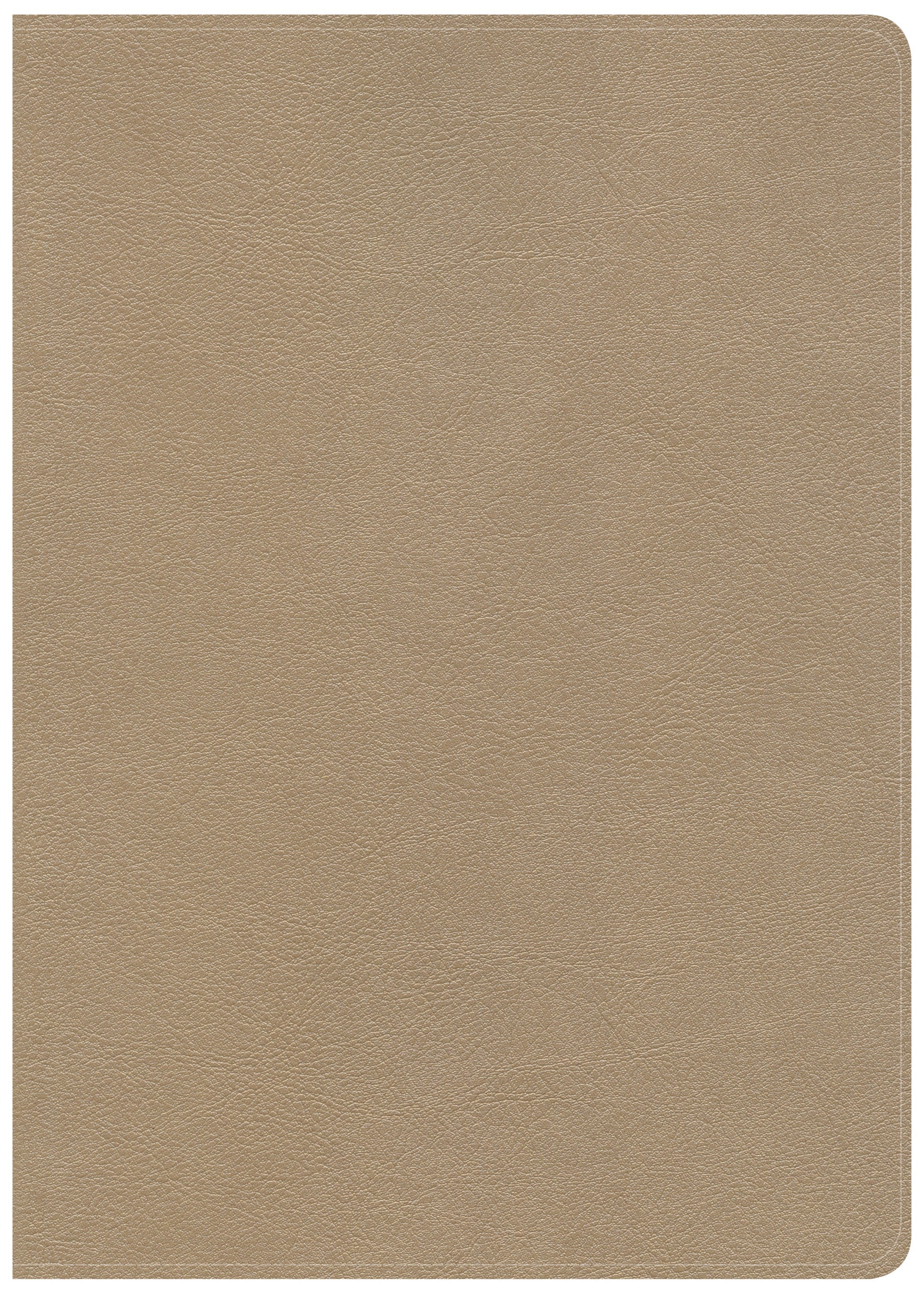 CSB She Reads Truth Bible Champagne Indexed