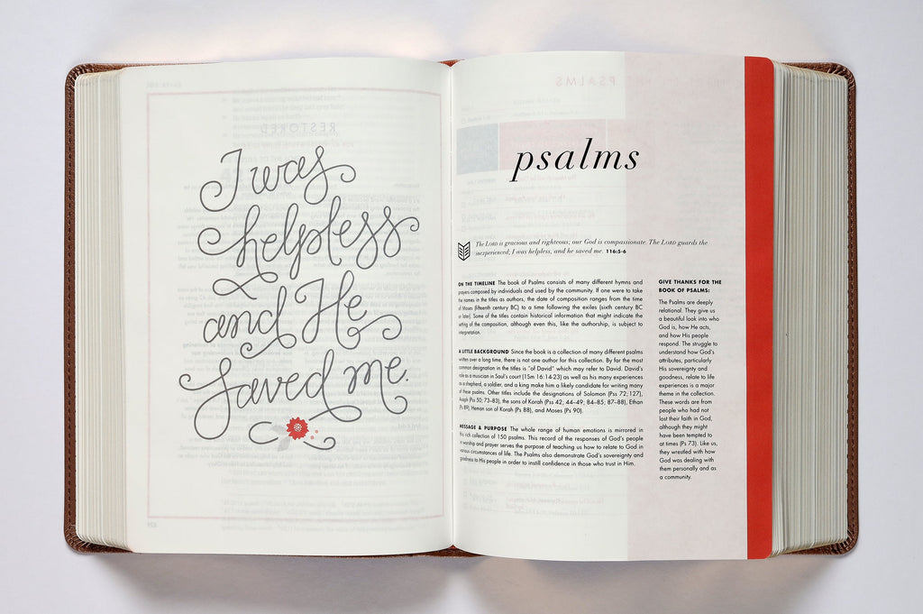 Rose Gold CSB She Reads Truth Bible Open