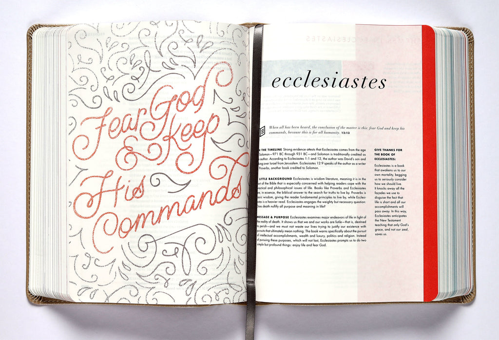 Rose Gold CSB She Reads Truth Bible Back Cover