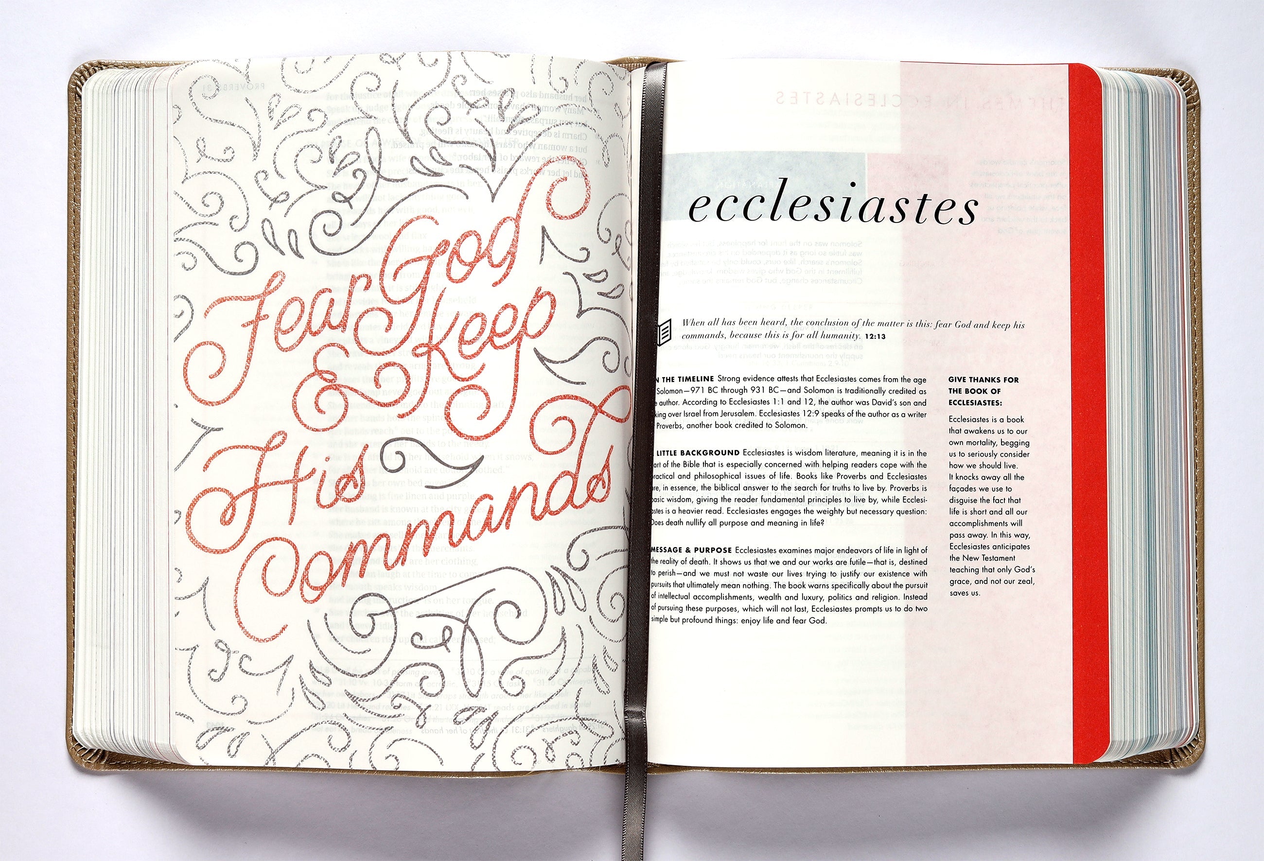 Rose Gold CSB She Reads Truth Bible Back Cover