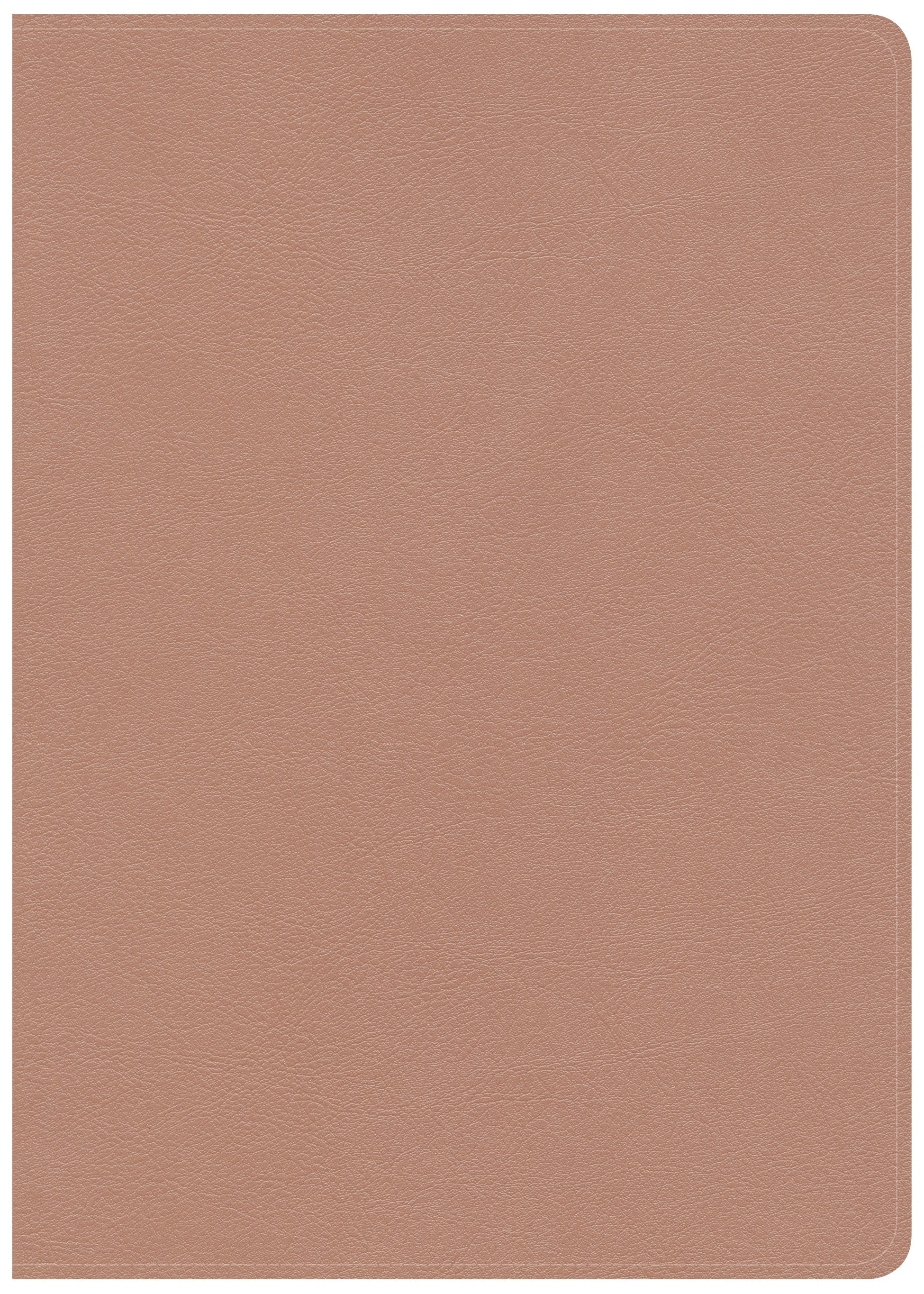CSB She Reads Truth Bible Rose Gold Indexed