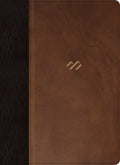 Rvr 1960 Biblia Tematica De Estudio Marron Oscuro/Marron