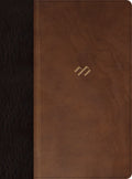 RVR 1960 Biblia Tematica de Estudio en Marron Oscuro/Marron con Indice, Edicion Global