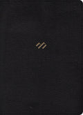 RVR 1960 Spanish Study Bible, black leather bound edition for in-depth Bible study