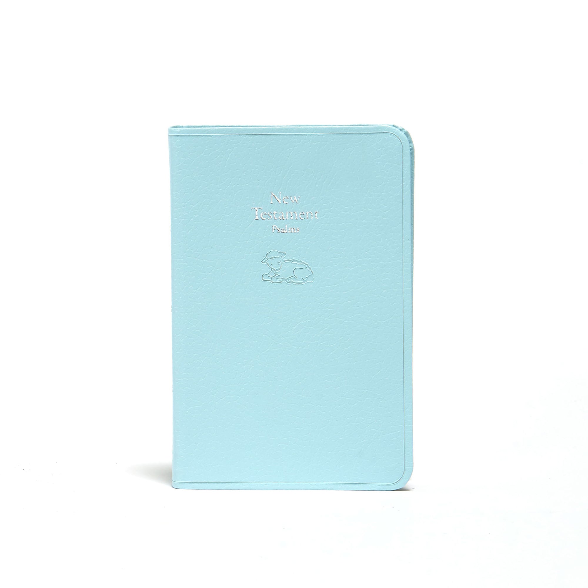 KJV Bible for Kids Red Letter Edition with Psalms in a Light Blue Cover