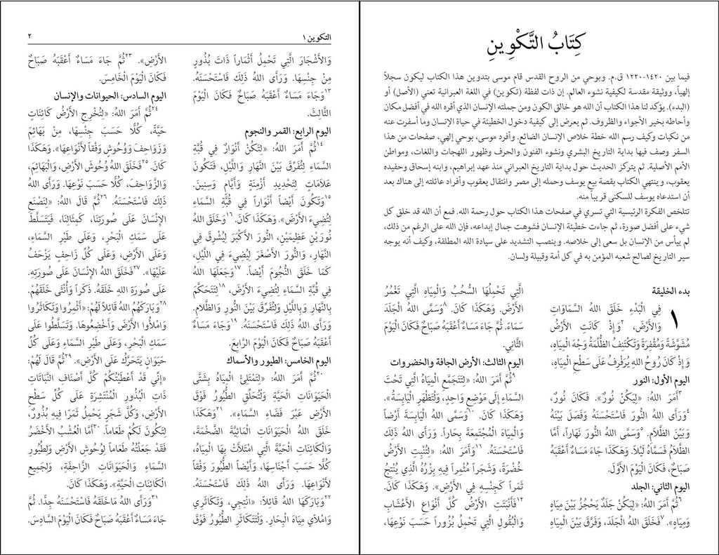 Nav Arabic Large Print Bible (Black Letter Edition)