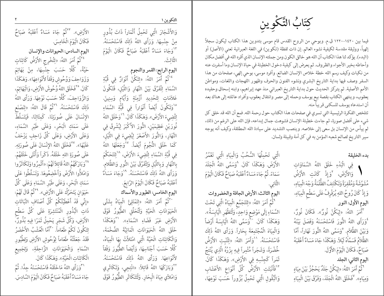 Nav Arabic Large Print Bible (Black Letter Edition)