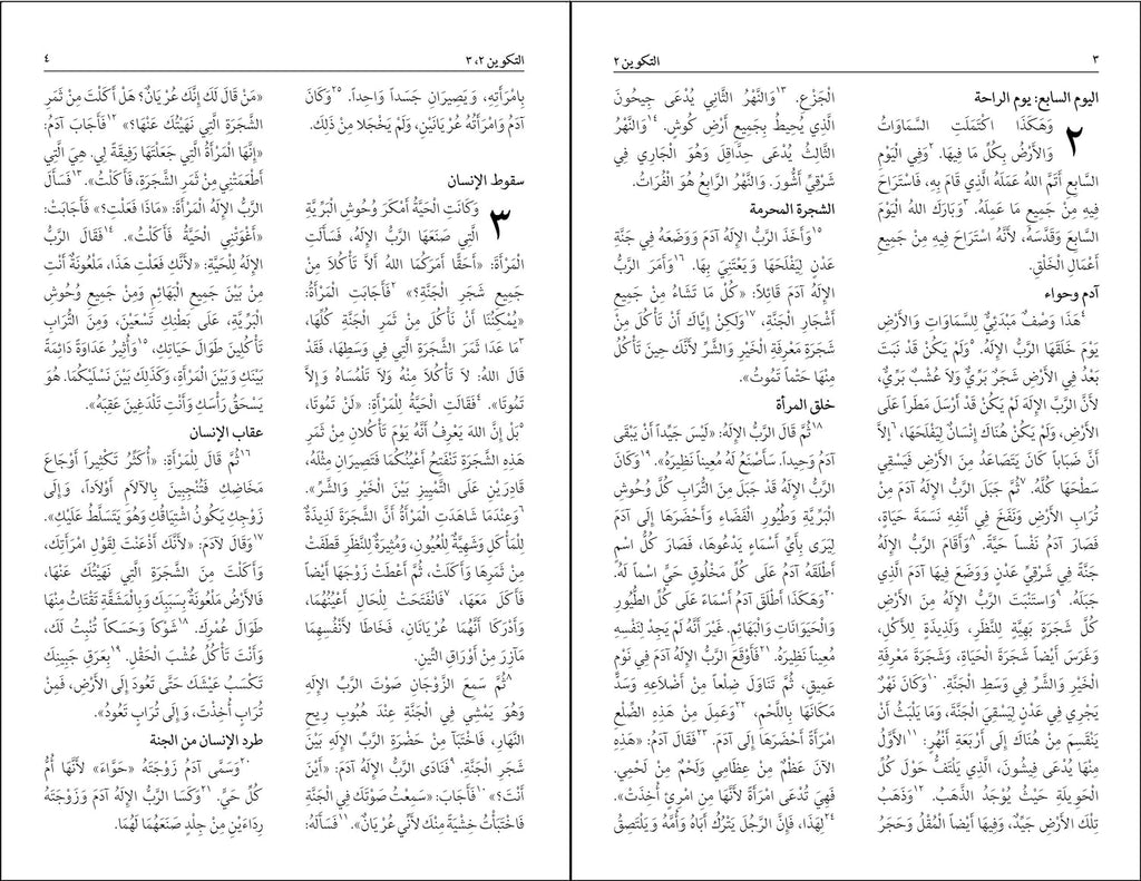 Nav Arabic Large Print Bible (Black Letter Edition)