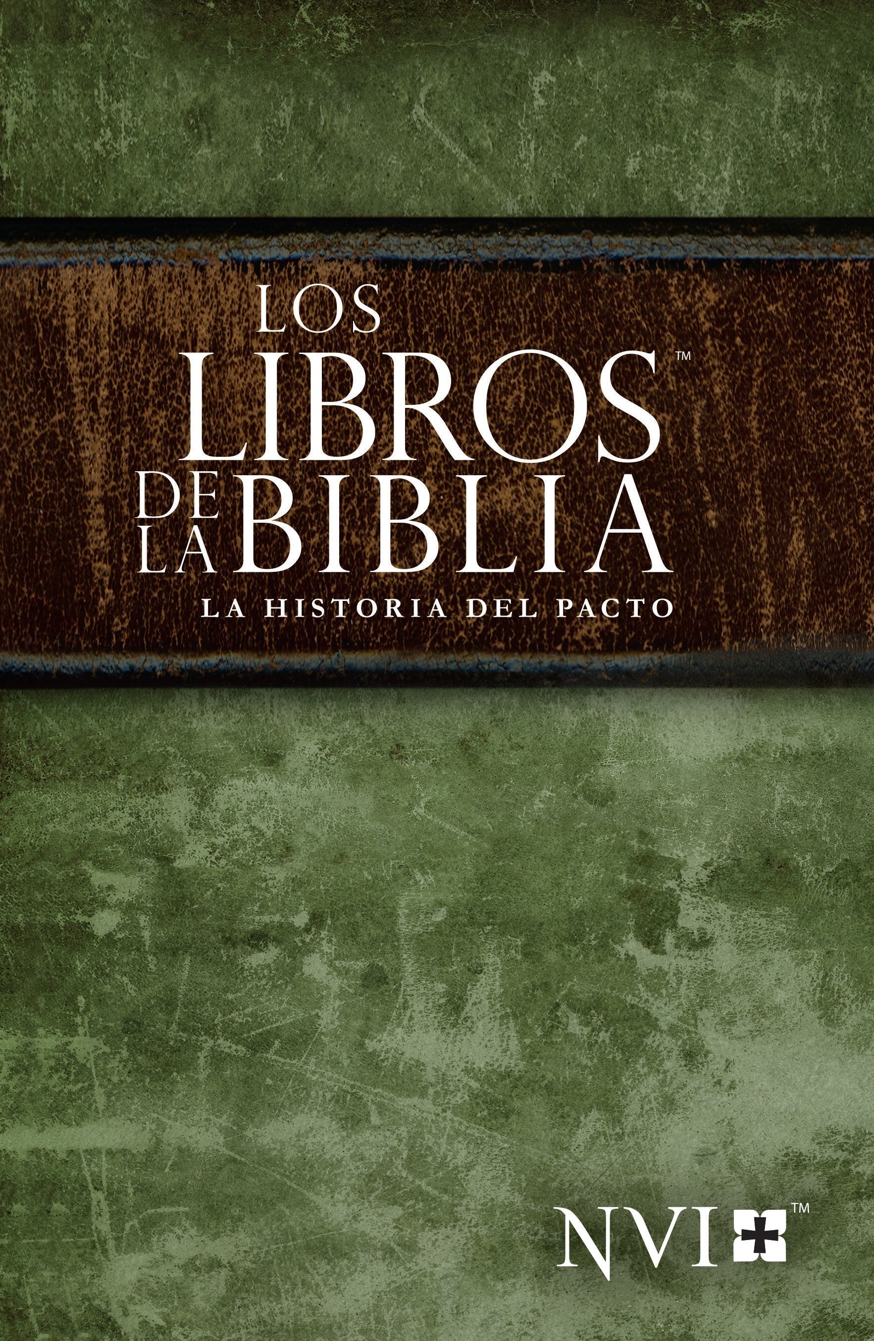 English NIV Bibles translated into various international languages and dialects for global understanding