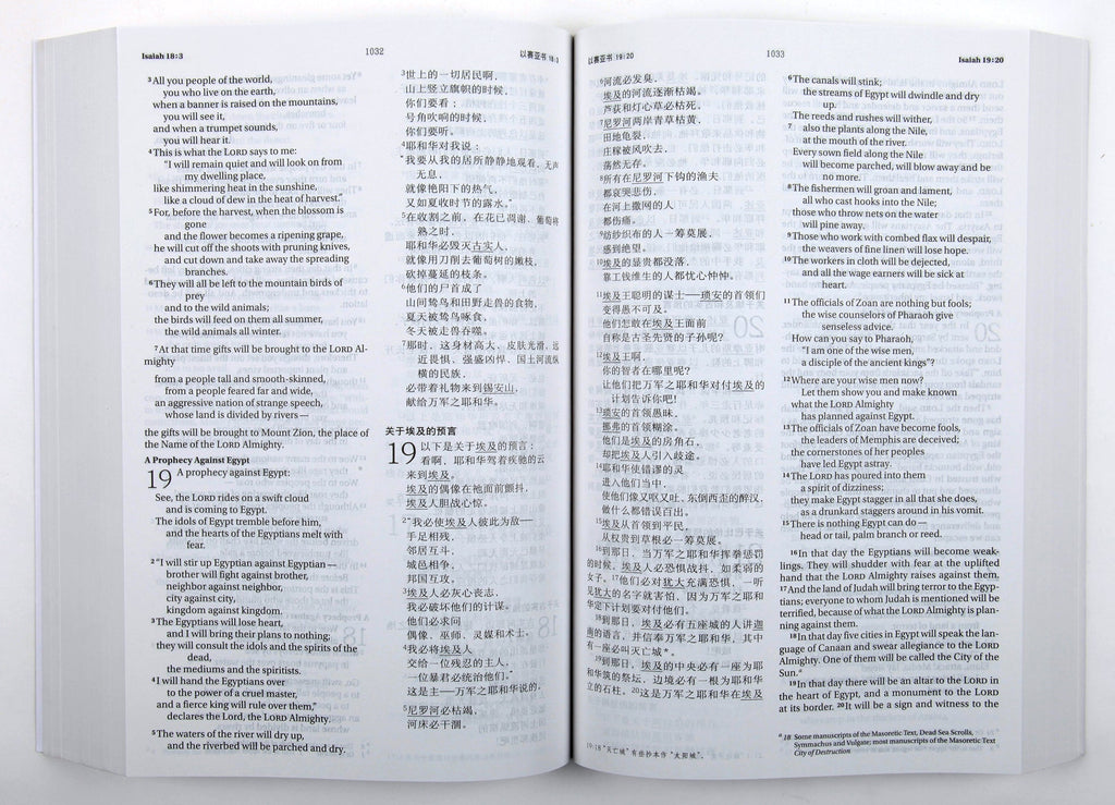 Chinese/English Bilingual Bible-PR-FL/NIV