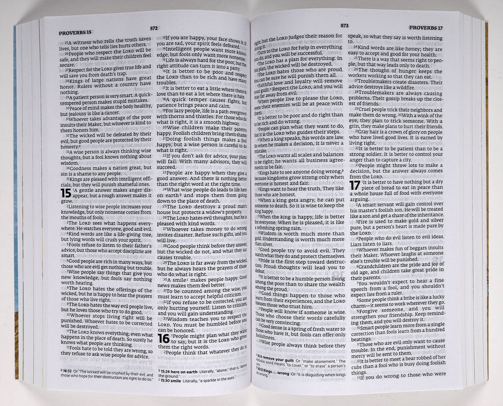 Close-up of ERV Illustrated Children's Bible's colorful illustrations