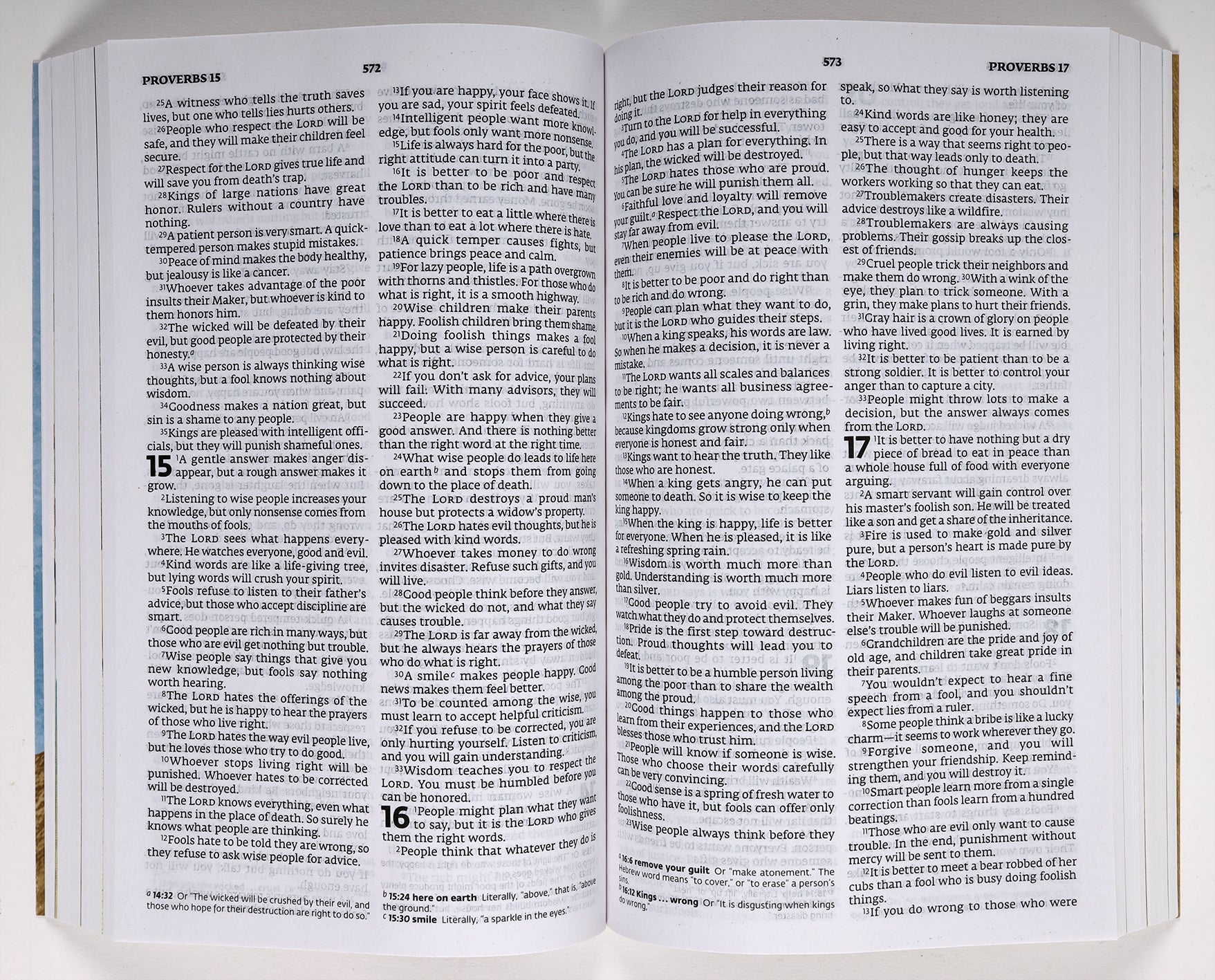 Close-up of ERV Illustrated Children's Bible's colorful illustrations