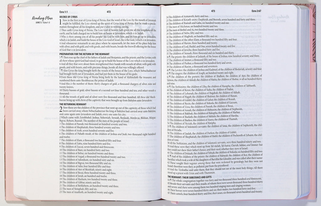 KJV Women's Bible with 3-Minute Devotions and Rose Copper Cover with Journaling