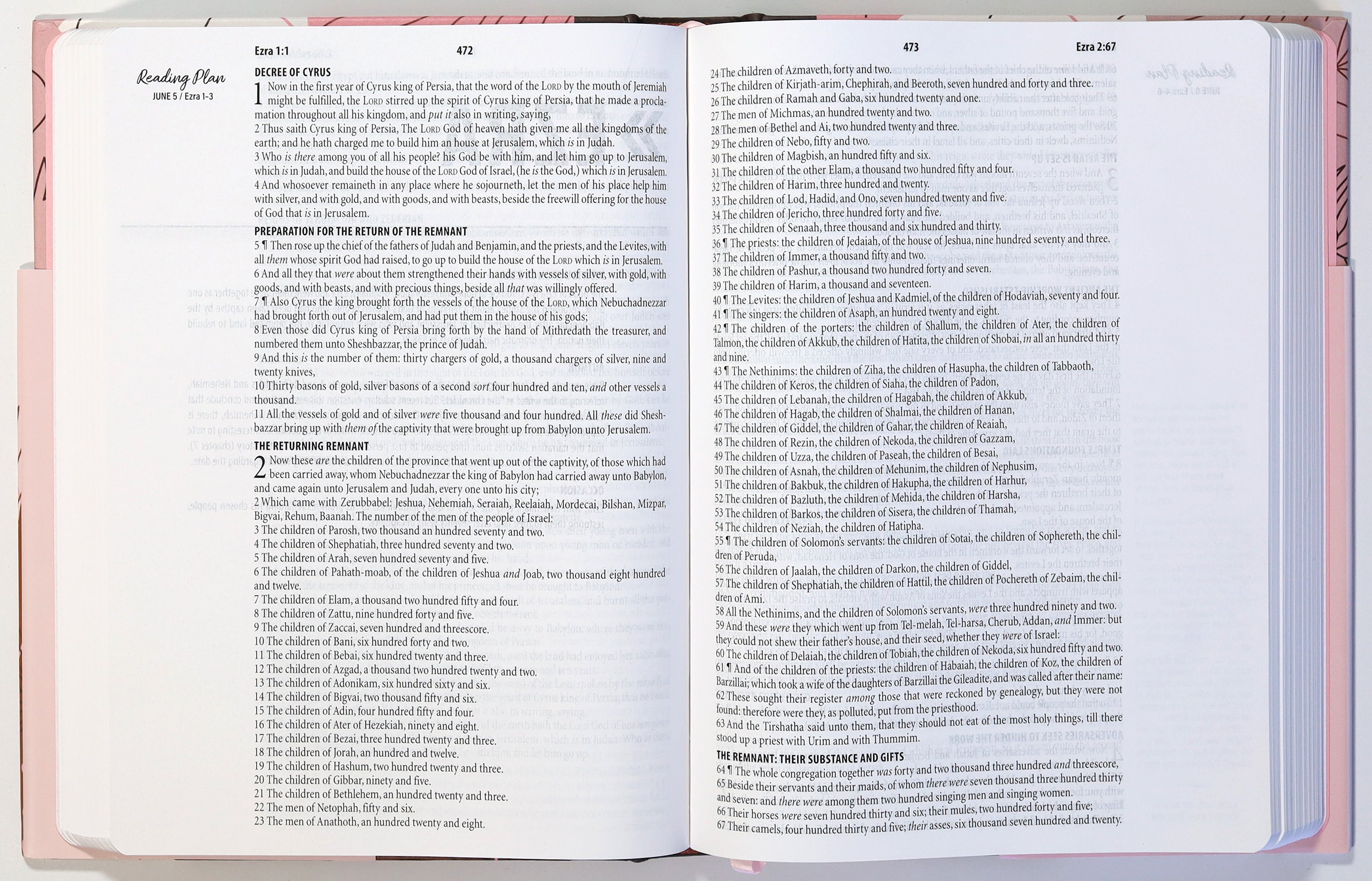 KJV Women's Bible with 3-Minute Devotions and Rose Copper Cover with Journaling