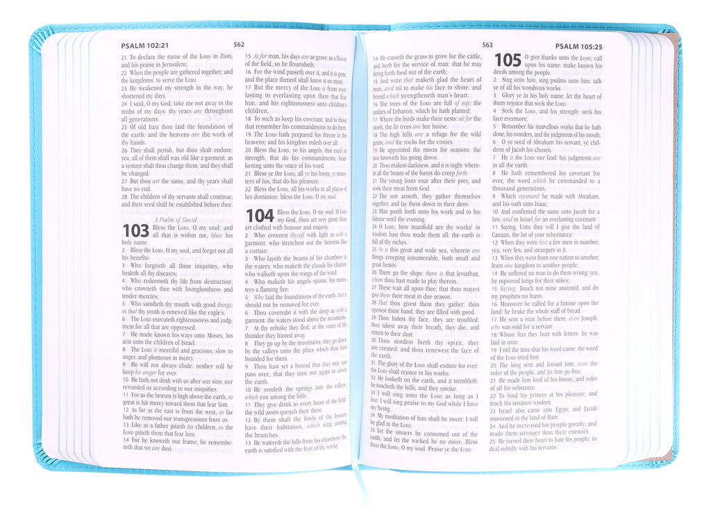 Back cover of the KJV One-Minute Bible for Kids Adventure Blue (Red Letter Edition).
