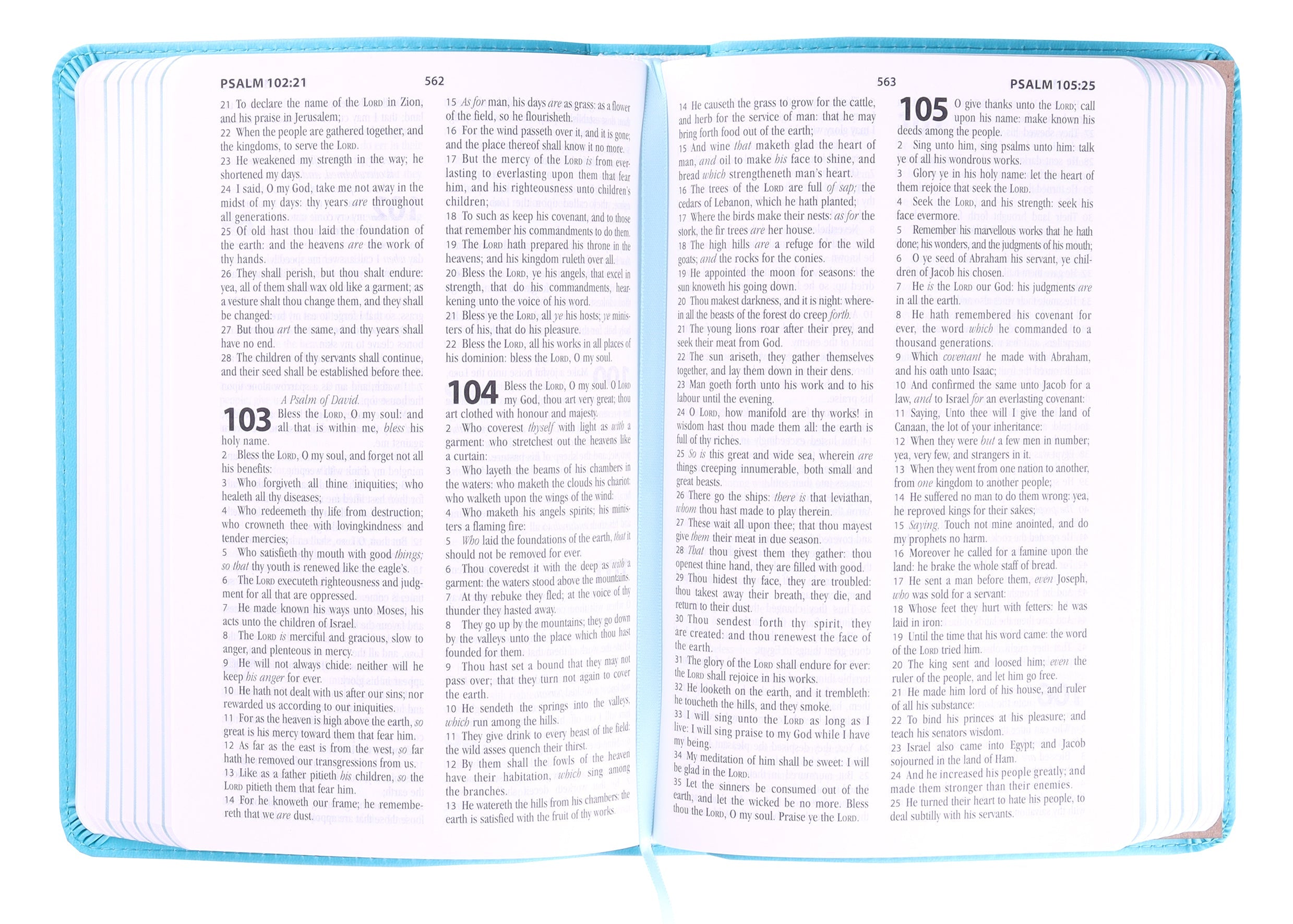 Back cover of the KJV One-Minute Bible for Kids Adventure Blue (Red Letter Edition).