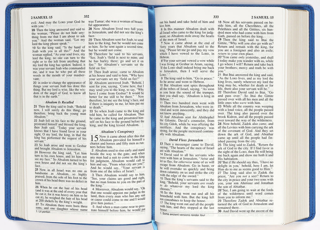 Back cover of the NASB Children's Holy Bible with Red Letter edition in Dawn Blue