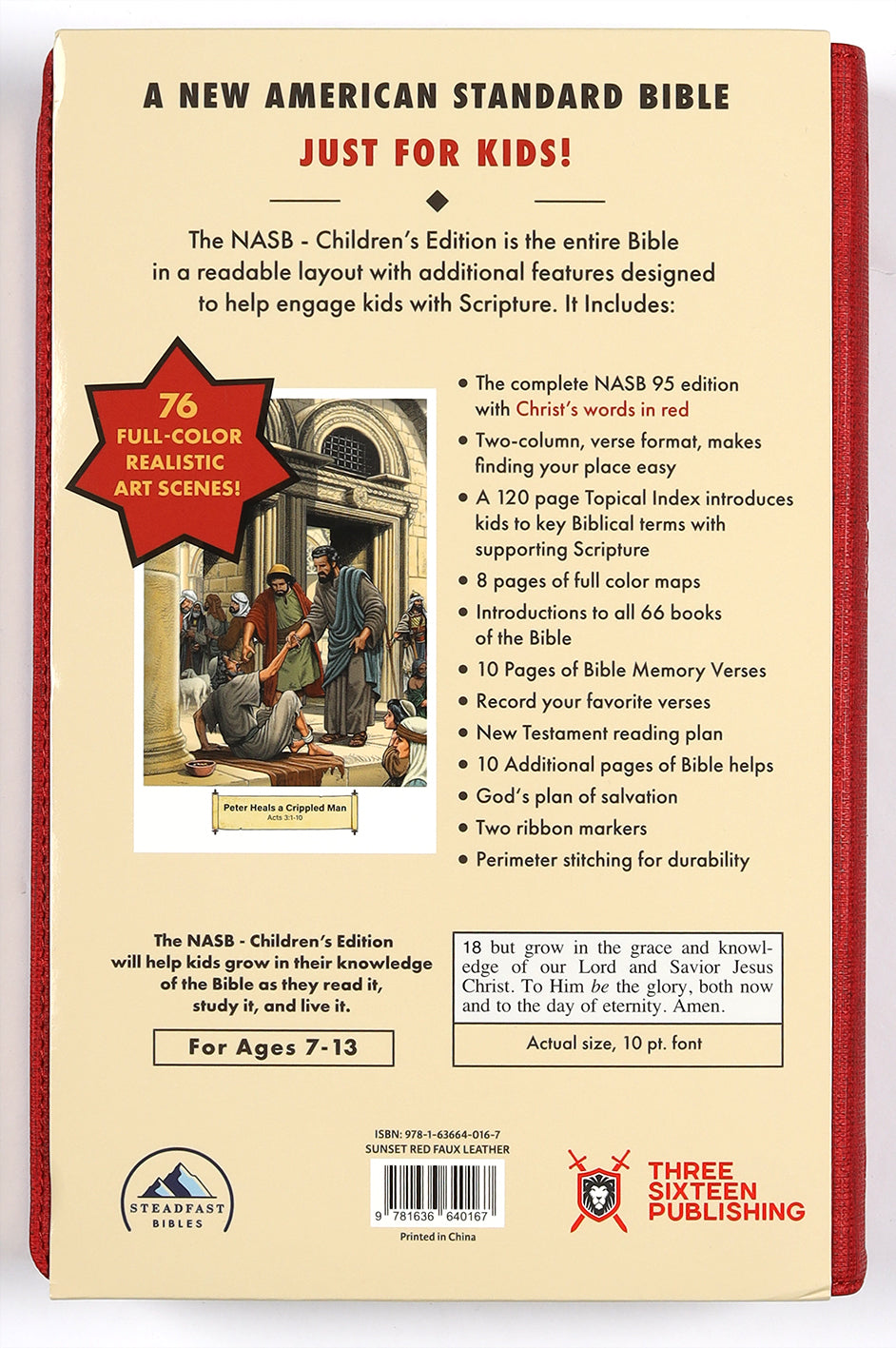 Illustrated NIV Bible for kids to learn scripture