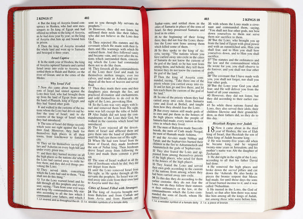 Bible study for kids with the NIV Visual Study Bible