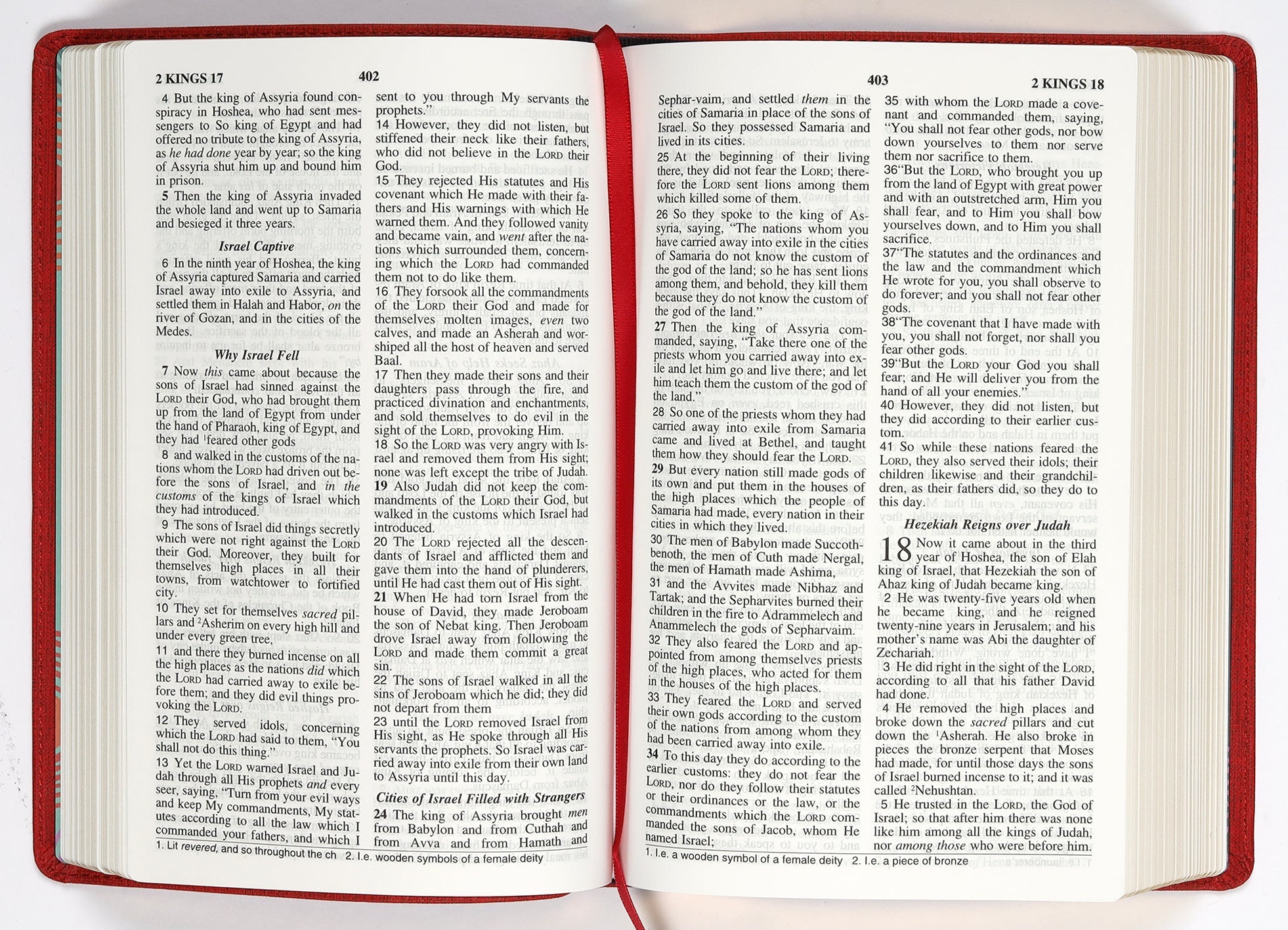 Bible study for kids with the NIV Visual Study Bible