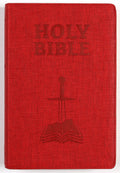 NIV Kids Visual Study Bible for children's biblical understanding