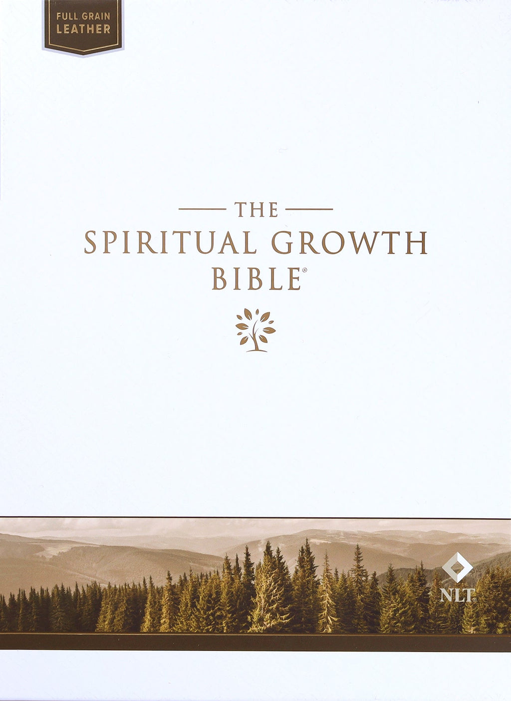 NLT New Living Translation Indexed Tan Bible