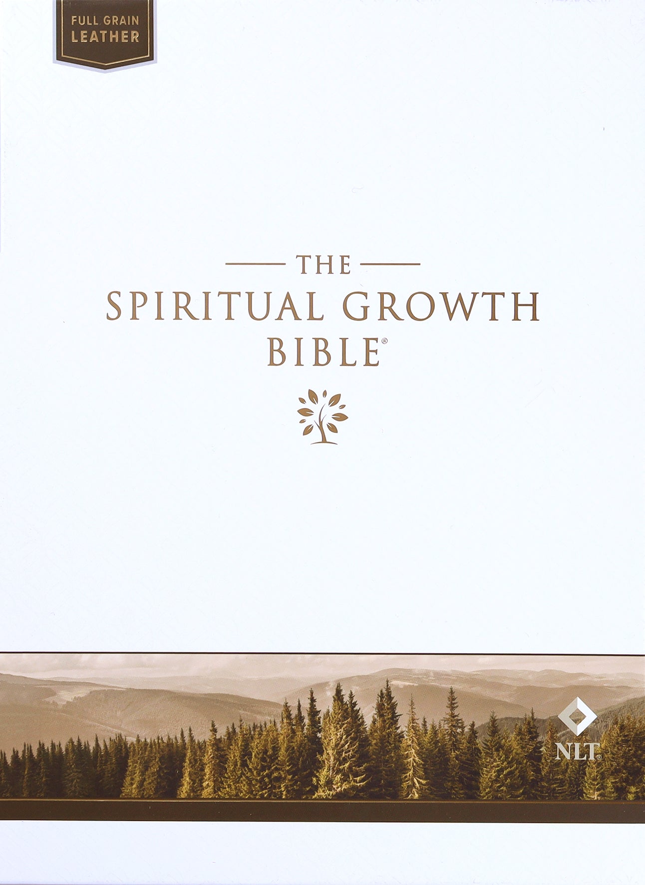 NLT New Living Translation Indexed Tan Bible