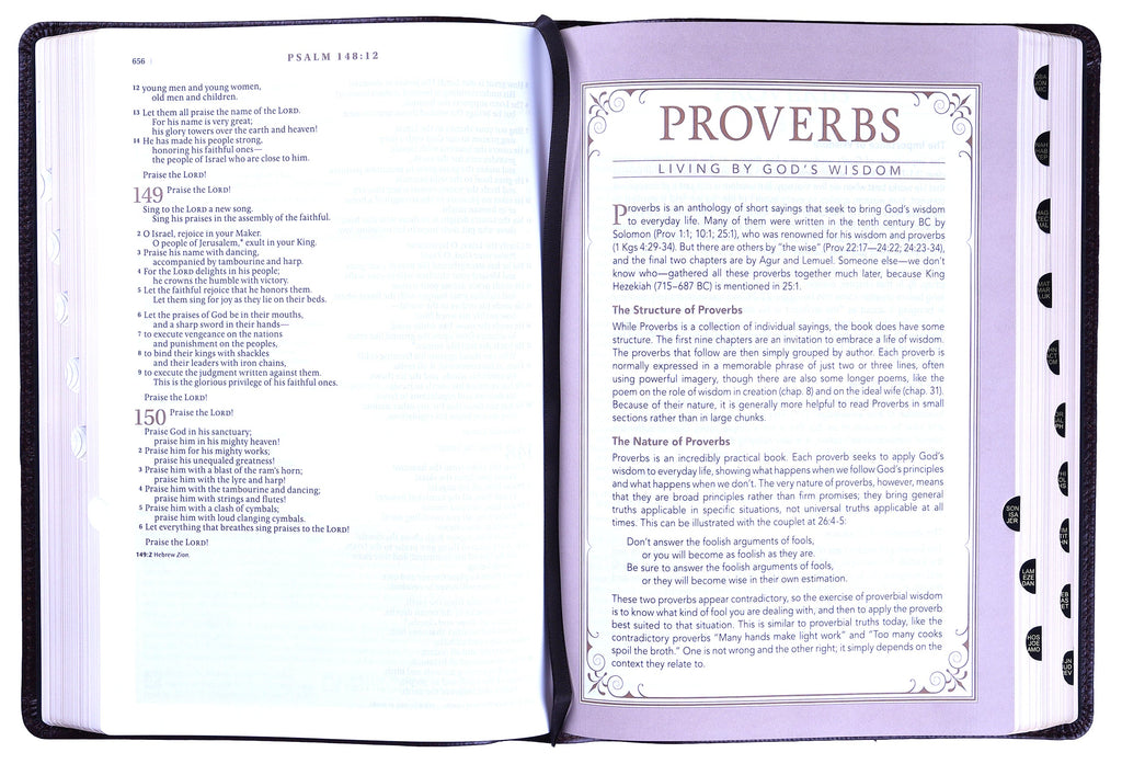 New Living Translation NLT Indexed Tan Bible