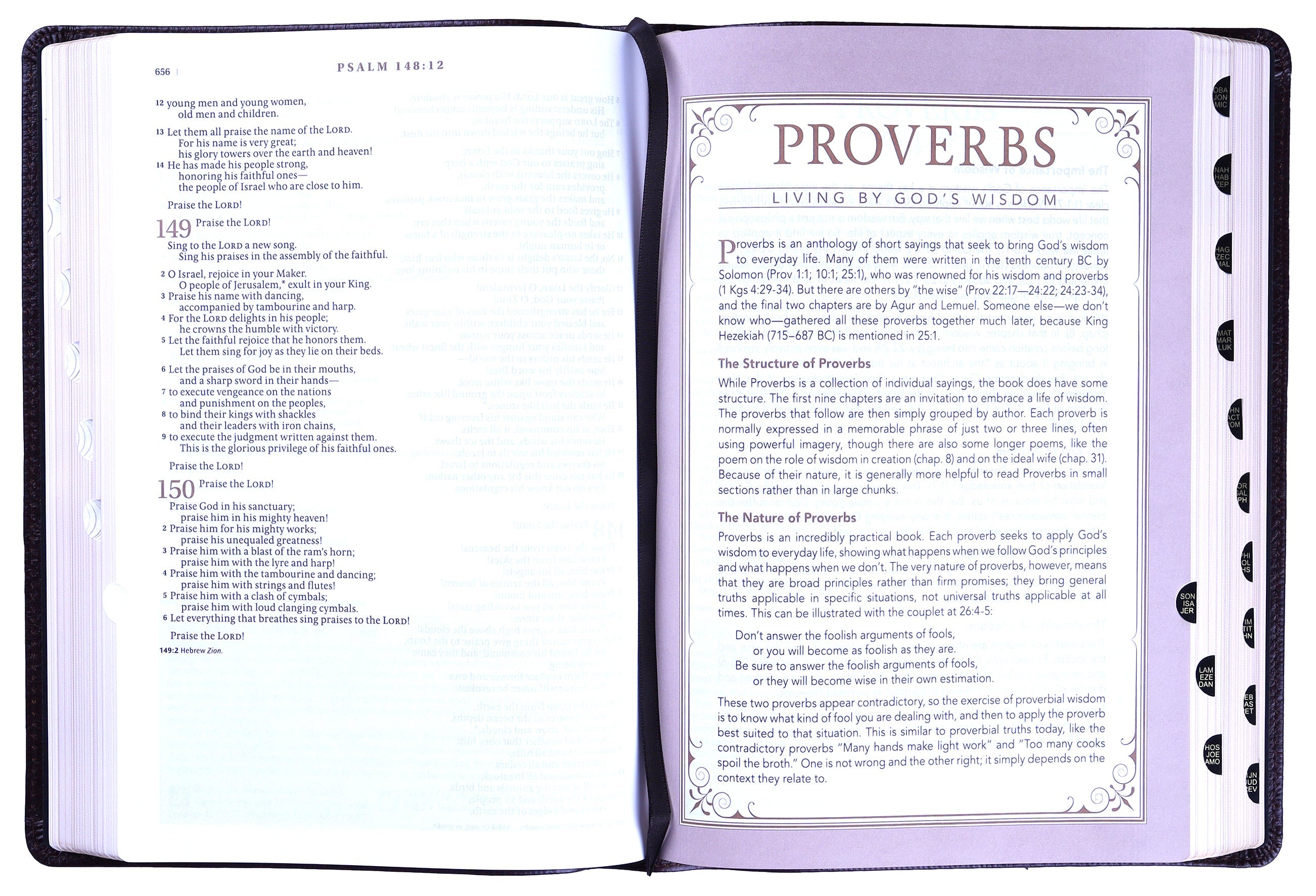 New Living Translation NLT Indexed Tan Bible