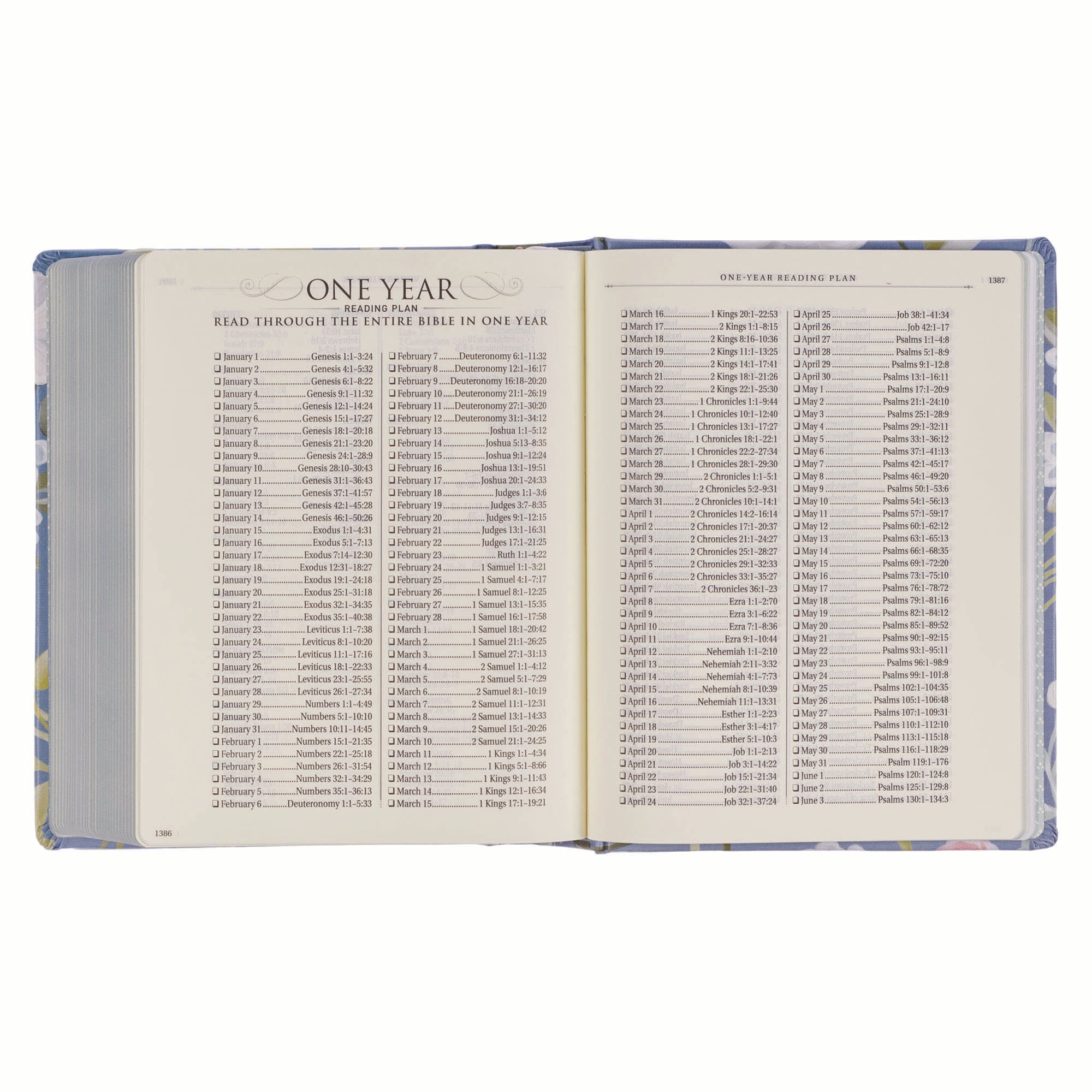 Front cover of KJV journaling Bible with blue floral design and black letter text.