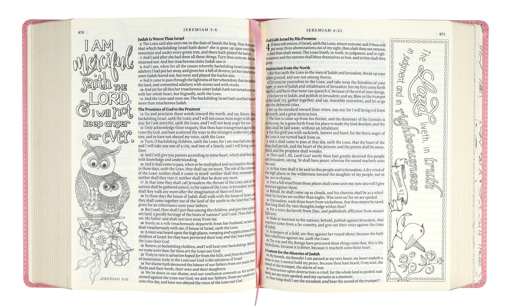 Front cover of KJV My Promise Bible for Women, a devotional journaling Bible with encouraging themes.
