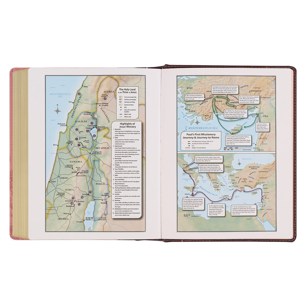 Inspirational KJV Devotional Journaling Bible featuring black letter edition with floral designs