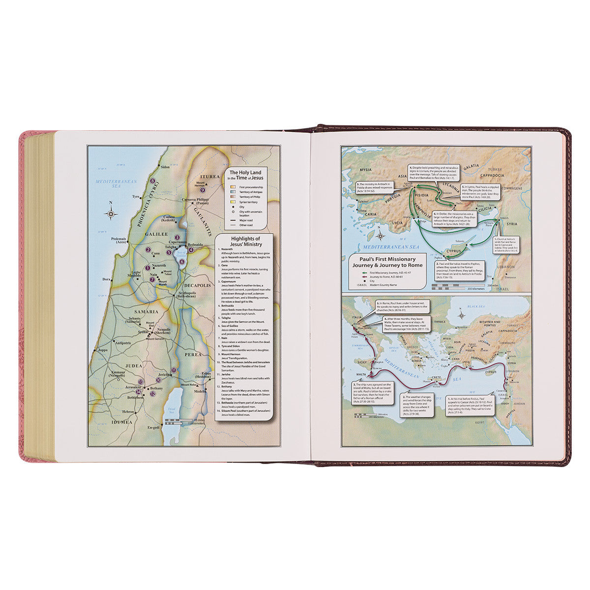 Inspirational KJV Devotional Journaling Bible featuring black letter edition with floral designs