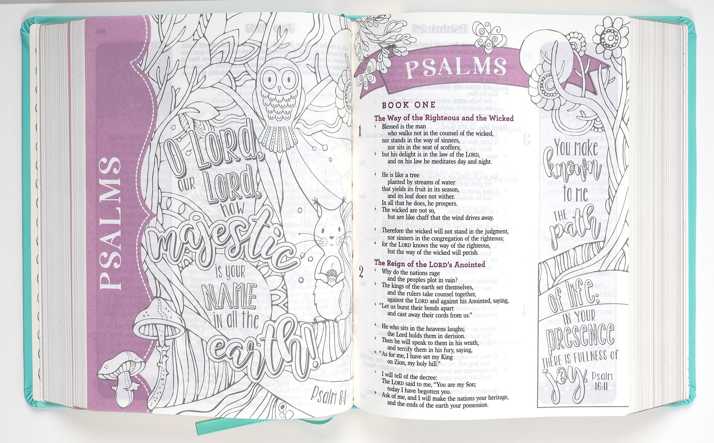 Interior pages of the ESV My Creative Bible for Girls, showcasing scripture and blank space.