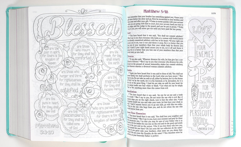 ESV My Creative Bible For Girls Teal Butterfly