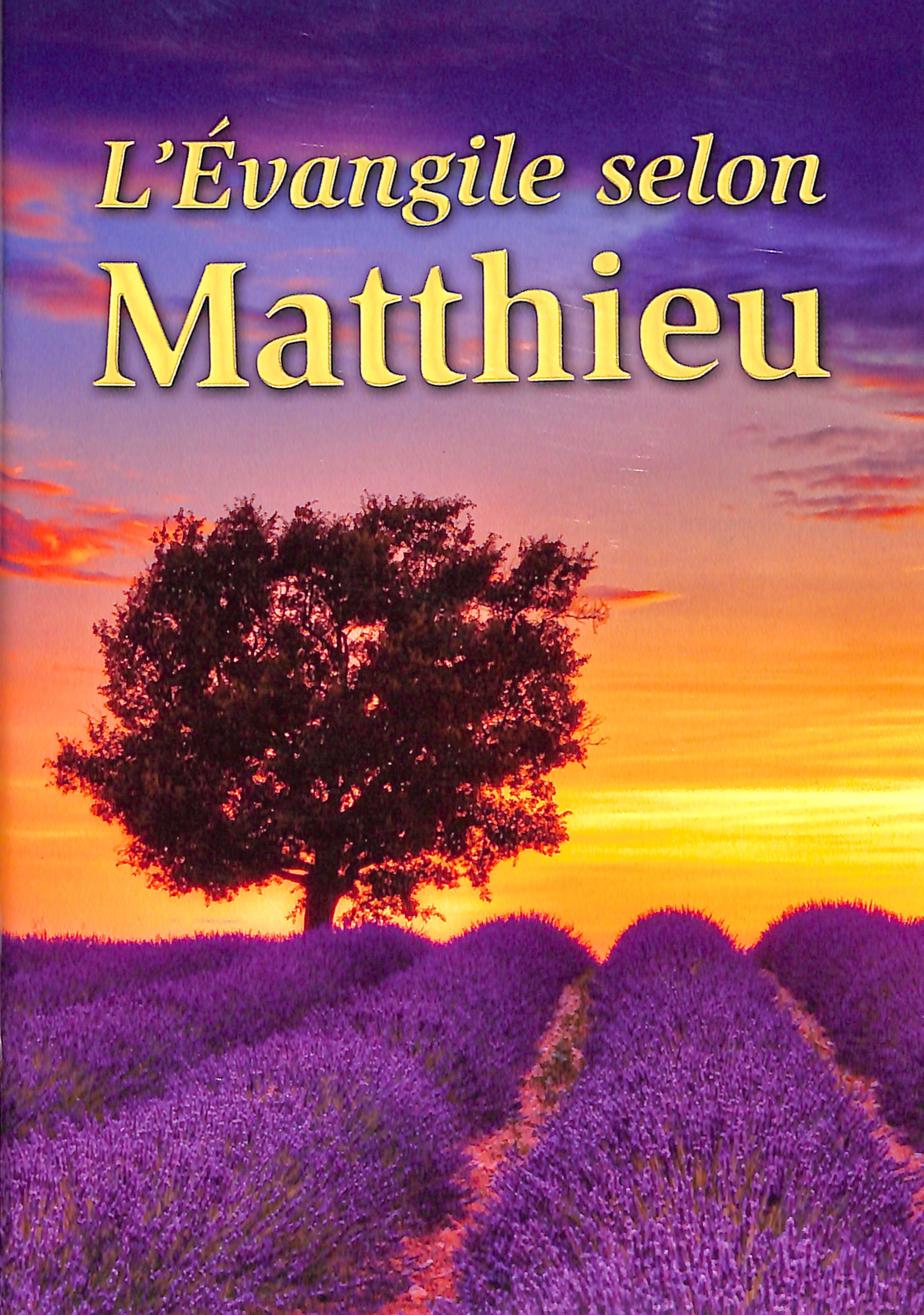French Gospel According to Matthew in black letter edition Bible