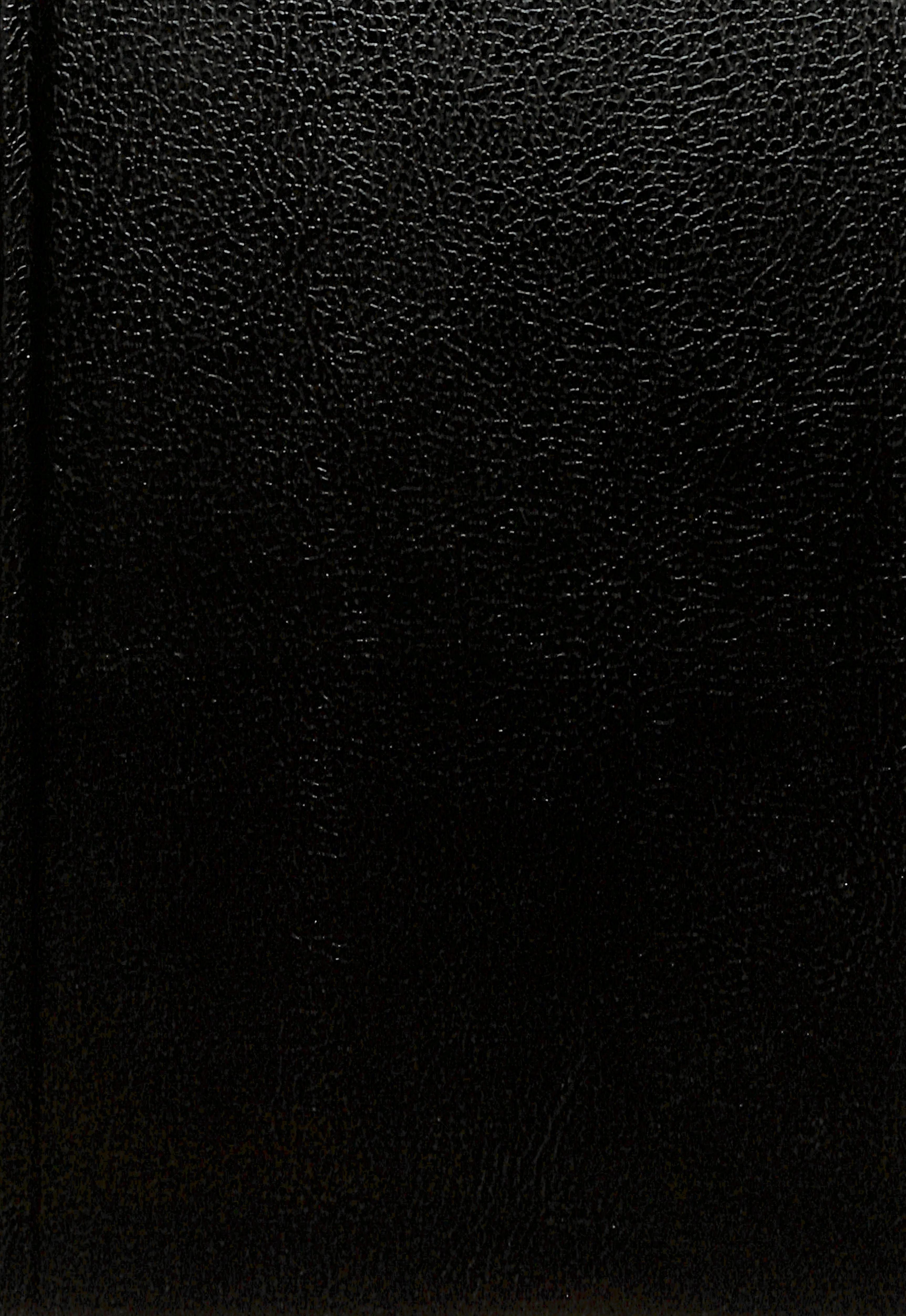 Black letter edition of the Arabic Van Dyck Bible in a sleek black cover.